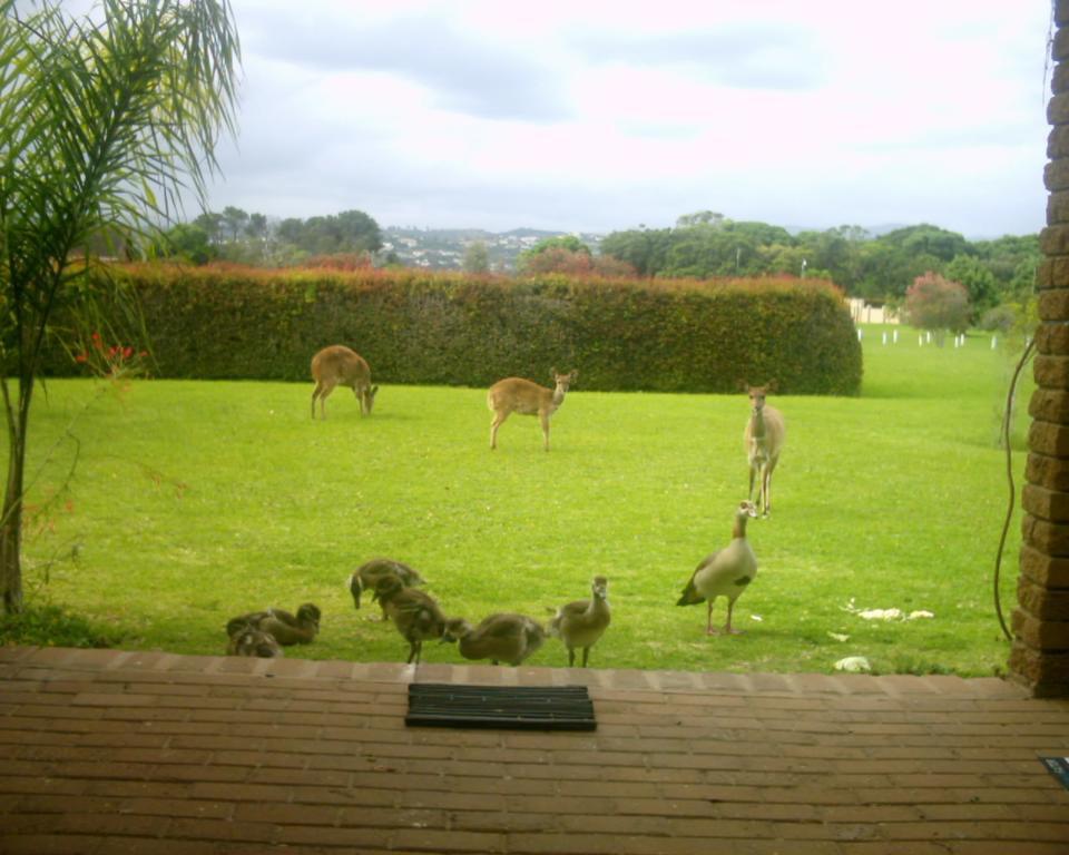 Brenton Lake Holiday Cottages المظهر الخارجي الصورة